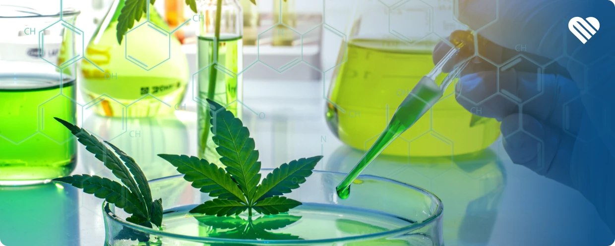 How to tell if cannabis is synthetic