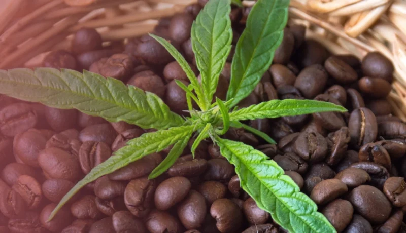 is it safe to mix caffeine and weed?