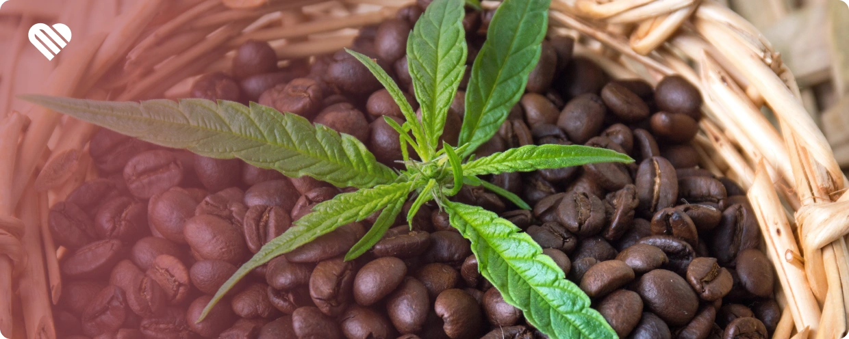 is it safe to mix caffeine and weed?