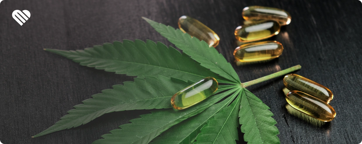 Are You Considering Using Cannabis and Propranolol?