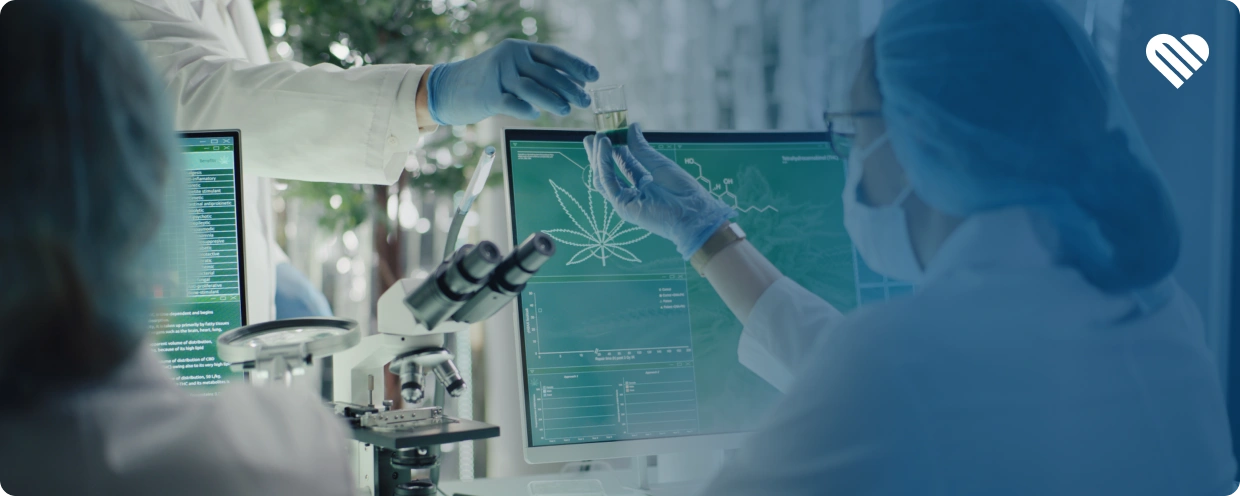 research on combining weed and ritalin