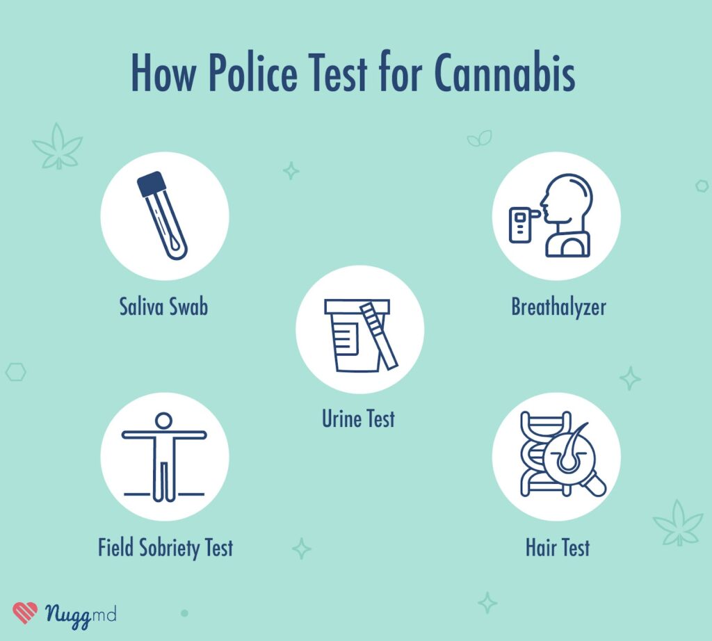 How Do Cops Test for Weed DUI