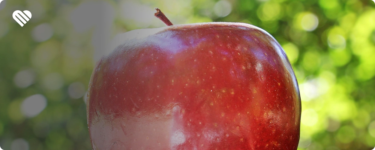 What You Need to Make an Apple Bong