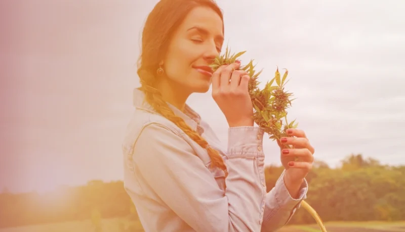 why does weed smell like that?