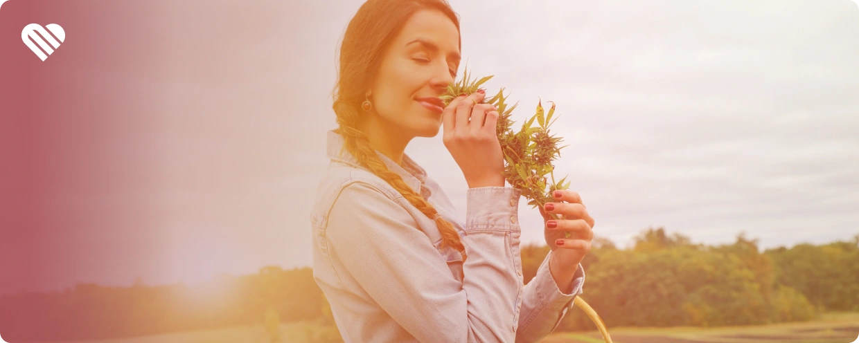 why does weed smell like that?