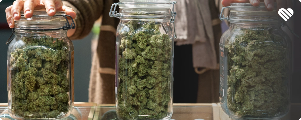 How to Keep Cannabis Smells From Taking Over
