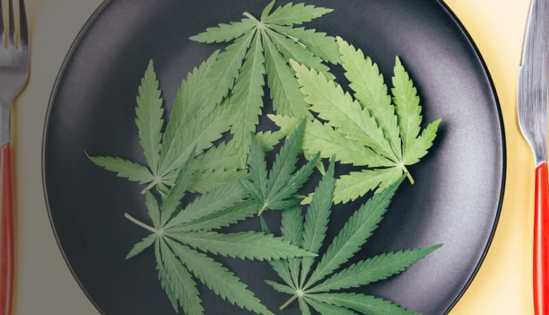 can you eat raw weed?
