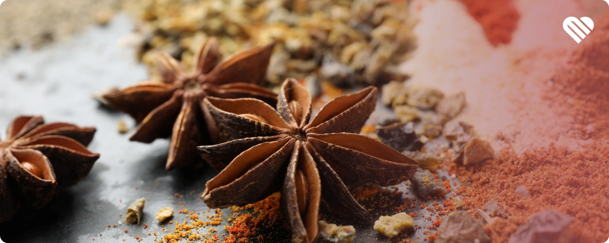 How Can Patients Balance Terpenes and THC in Choosing Products?