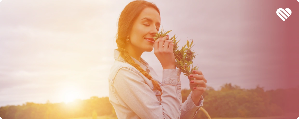 downside of weed smell