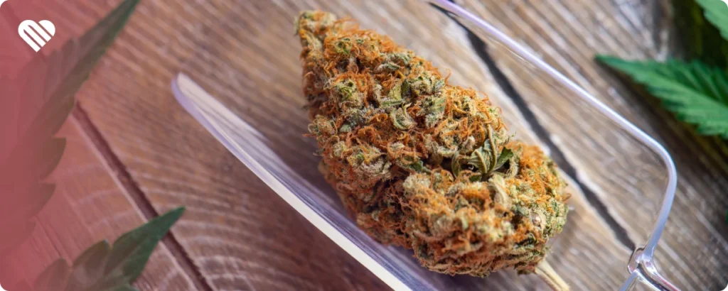 Do the orange hairs on weed mean it's stronger?