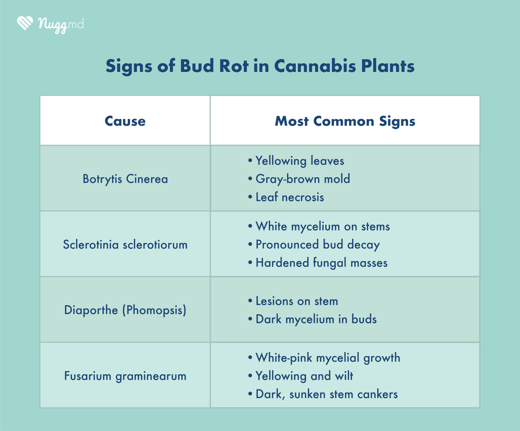 signs of bud rot in cannabis plants