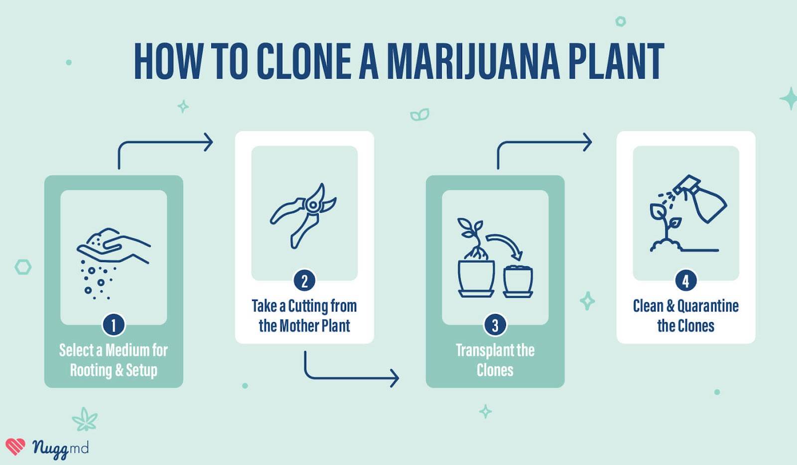 How to Clone A Marijuana Plant