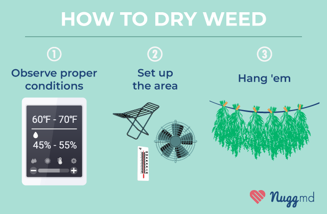 How to properly dry weed
