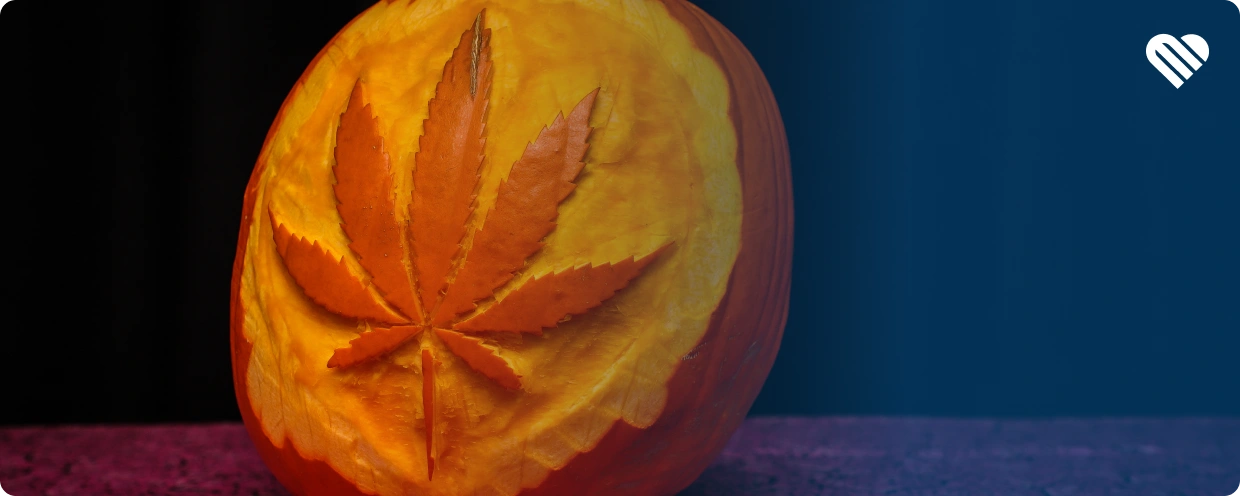 What Can I Use as a Rolling Paper If I'm Out?