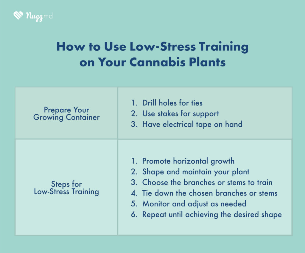 how to use low-stress training