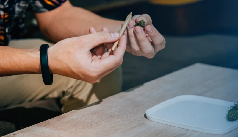 What is a pinner joint?