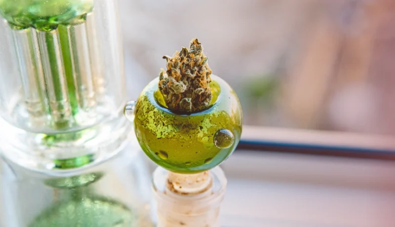 can you smoke wet weed?