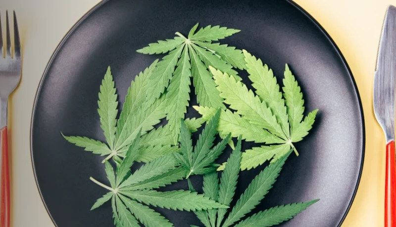 what does weed taste like?