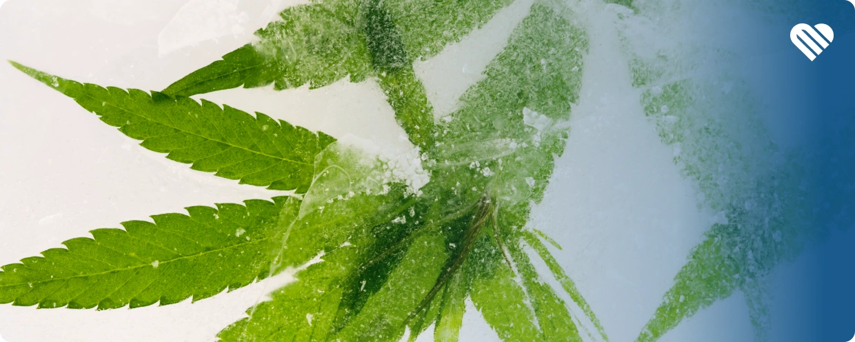 should you put ice in your bong?