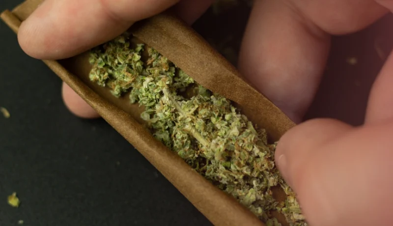 how to roll a blunt