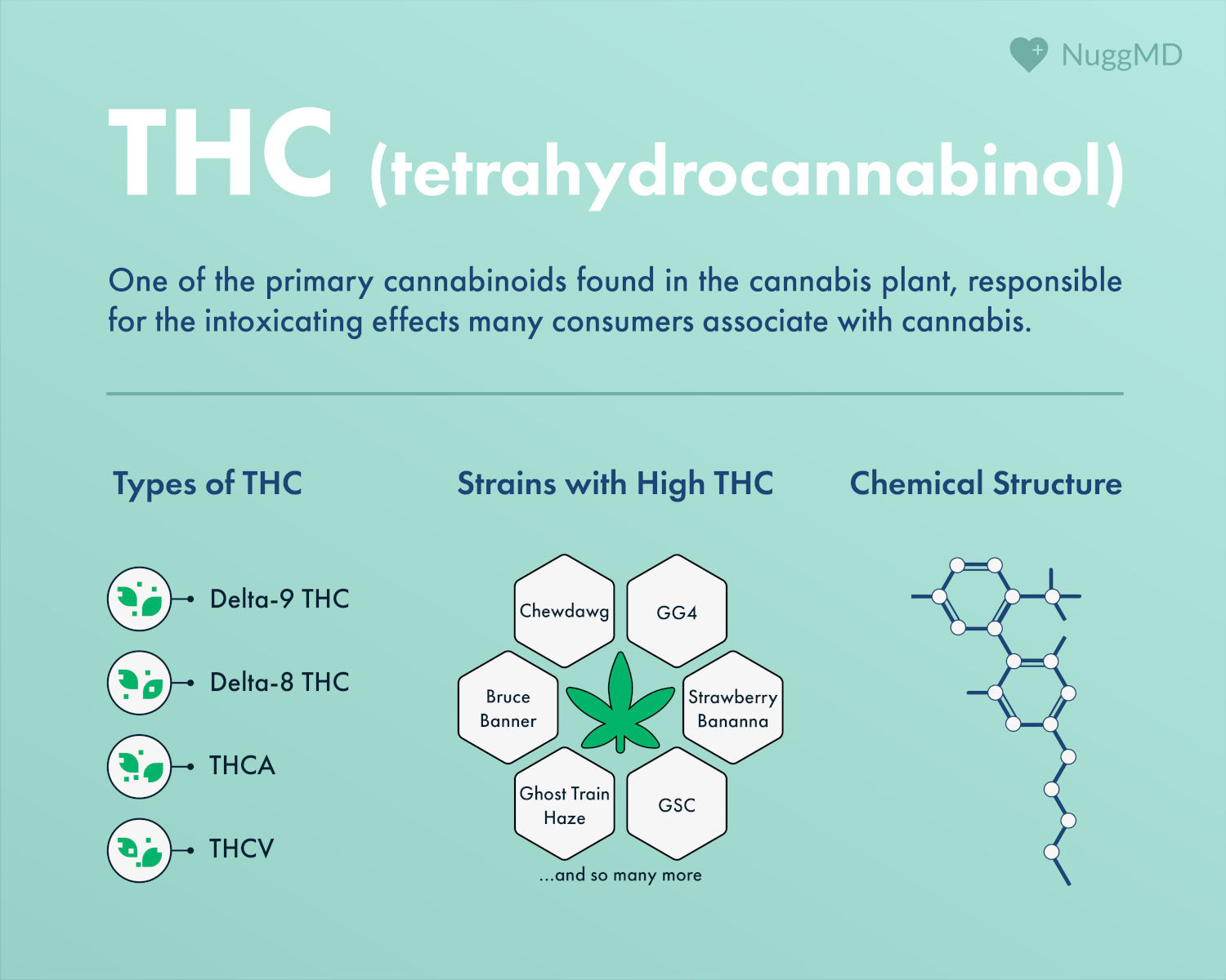 what is THC