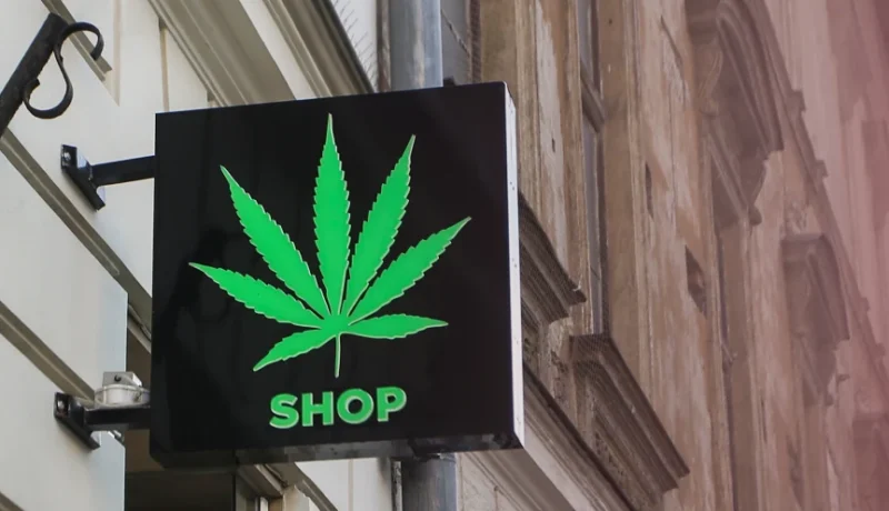 The Modern Legalization Era