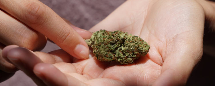 How to grind weed by hand