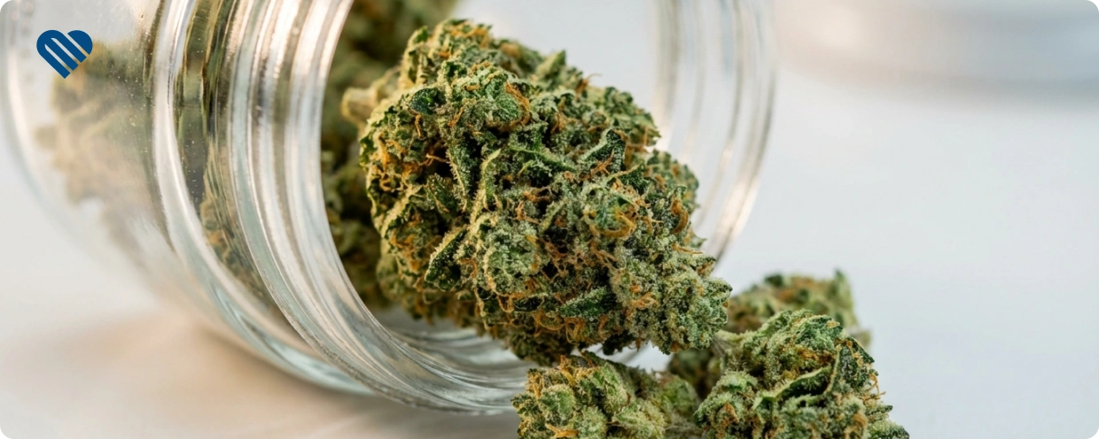 when is home grow ready for harvest?