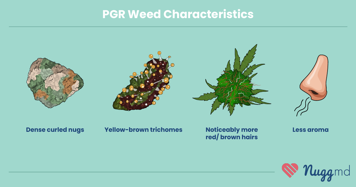 PGR weed characteristics chart