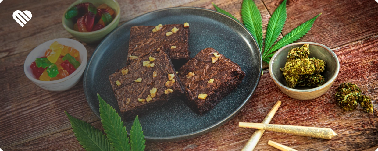 Which Terpenes Should You Avoid With Anxiety?