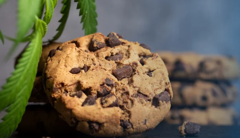 Best Calming Gummies and Edibles