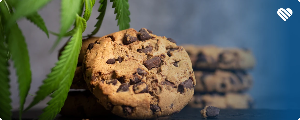 Best Calming Gummies and Edibles