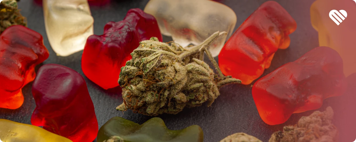 Top Joint Health gummies and edibles