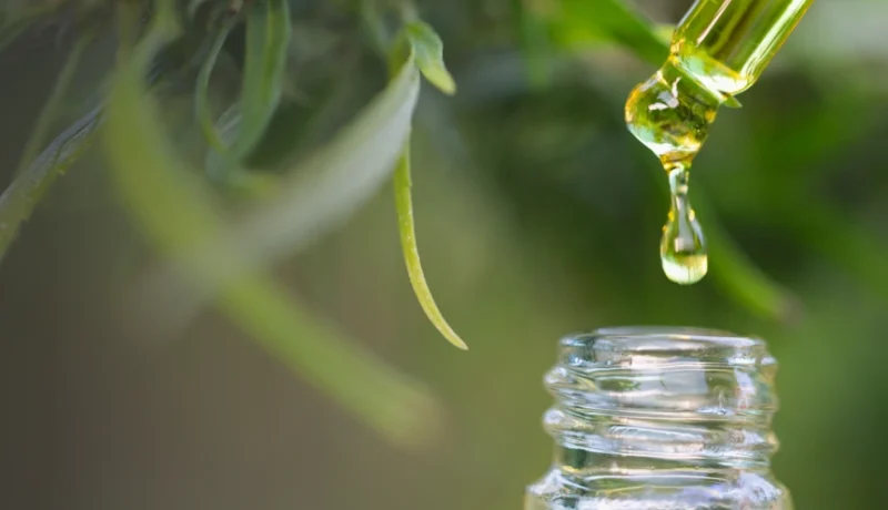 how to make cannabis coconut oil