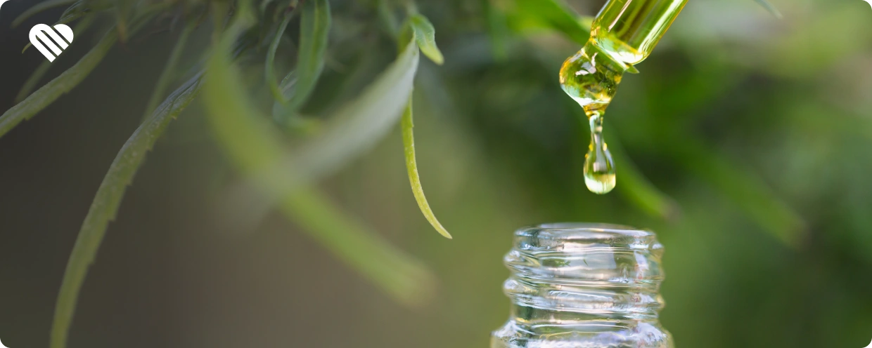 how to make cannabis coconut oil