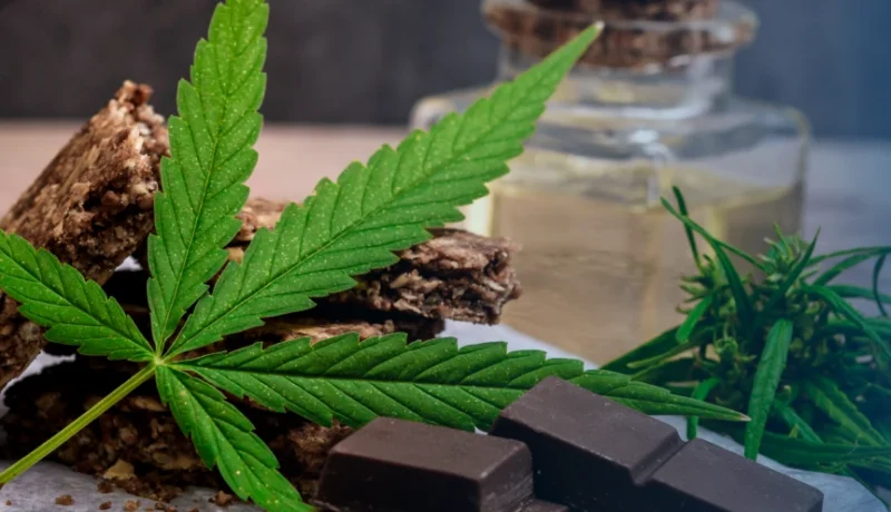 Best Gut Health Gummies and Edibles