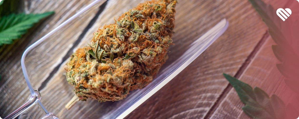 what's a thai stick?