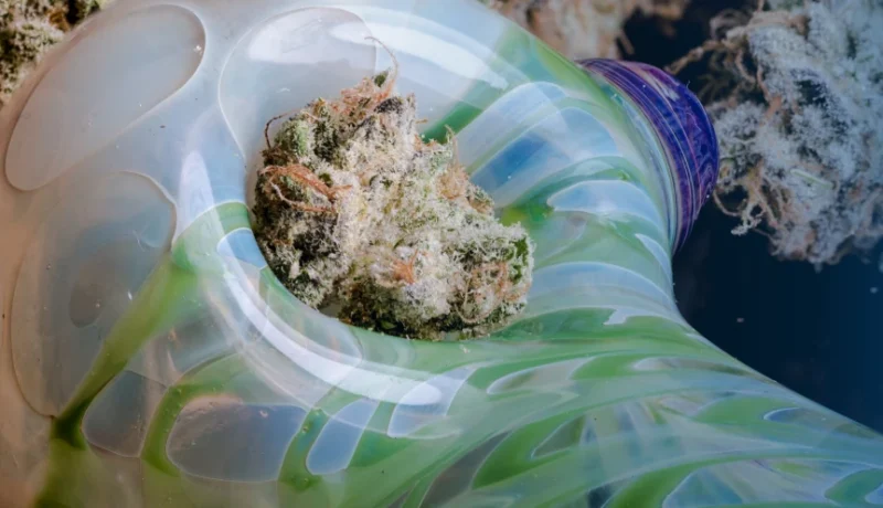 What is a Weed Bowl?