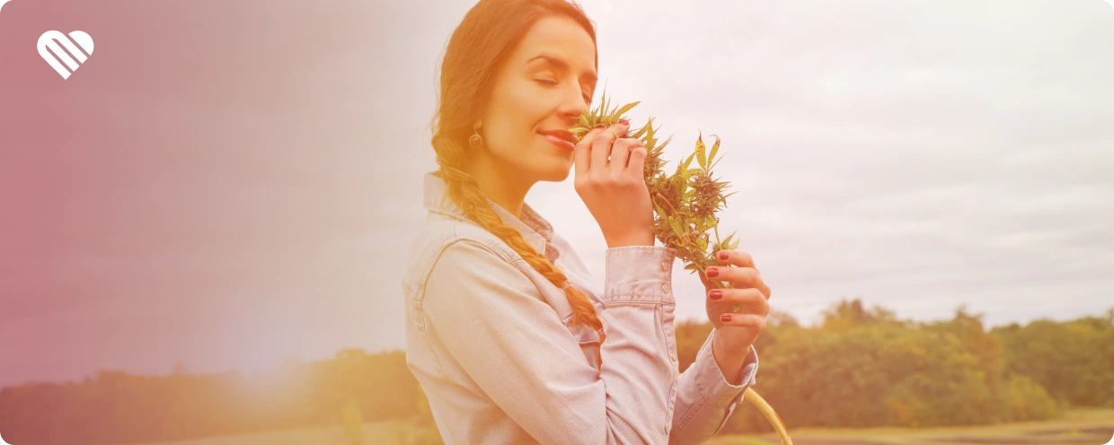 are smellproof bags really smellproof