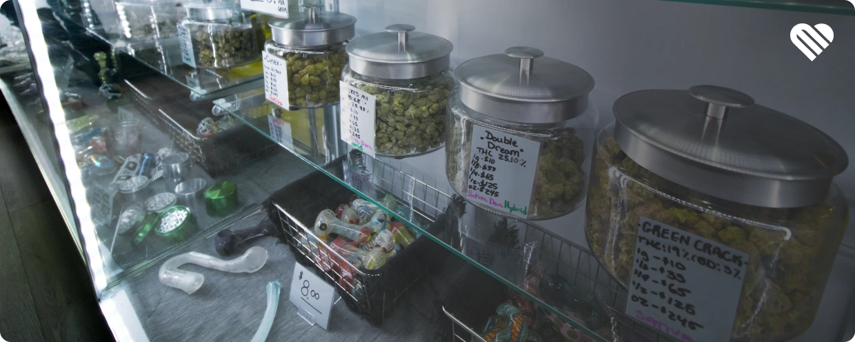 Which Terpene Combinations Help Most With Energy?