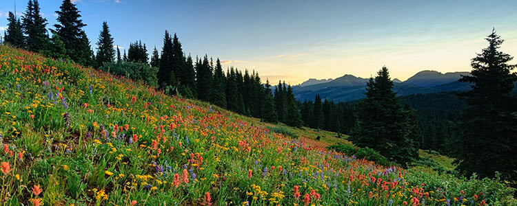 state of Colorado