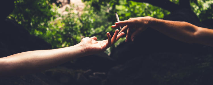 how to become a medical marijuana caregiver in New York