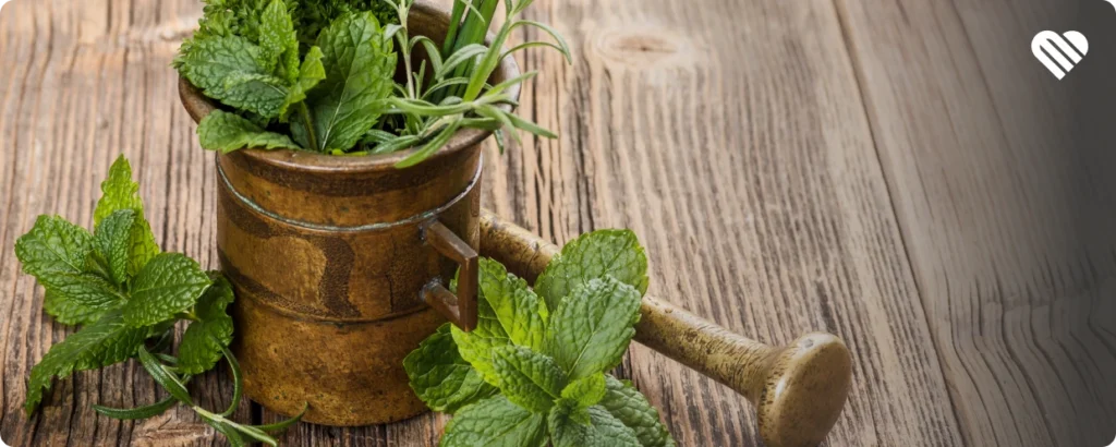 Herbal remedies to pair with cannabis