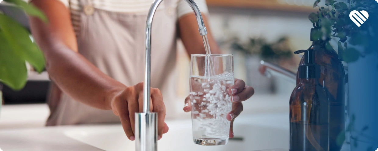 how to perfectly rehydrate weed