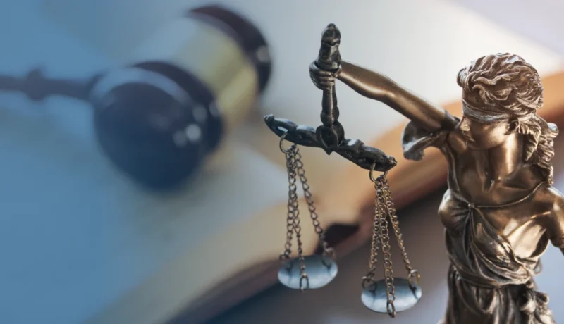 support cannabis reform and patient rights