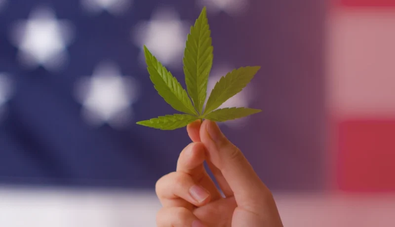 support cannabis reform and patient rights
