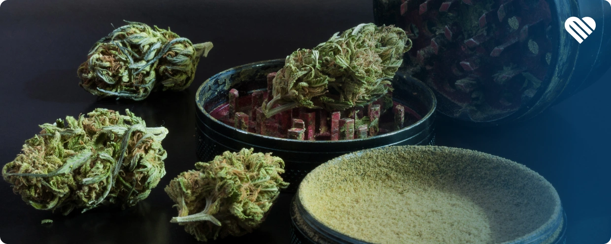 Factors That May Influence the THC Experience