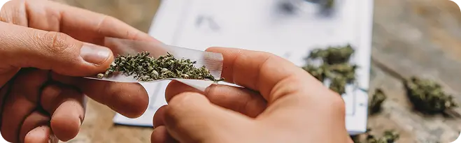 medical cannabis patient rolling prescription marijuana