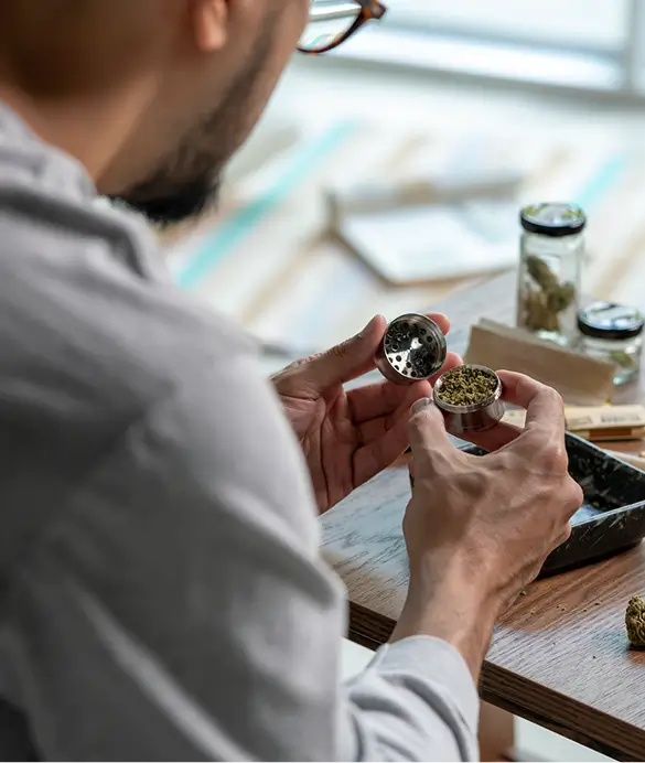 man grinding cannabis he got at a reduced cost with a medical card