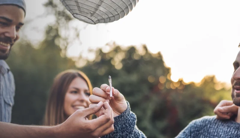 top 10 cities with a thriving cannabis scene
